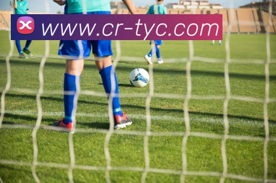 太阳城娱乐发展历程